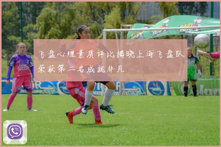 飞盘心理素质评比揭晓上海飞盘队荣获第二名成就非凡