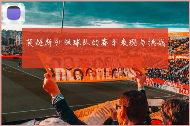 英超新升级球队的赛季表现与挑战