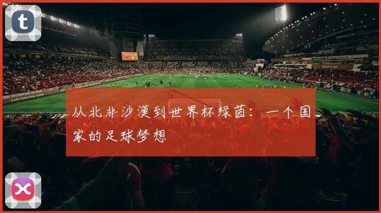 从北非沙漠到世界杯绿茵：一个国家的足球梦想